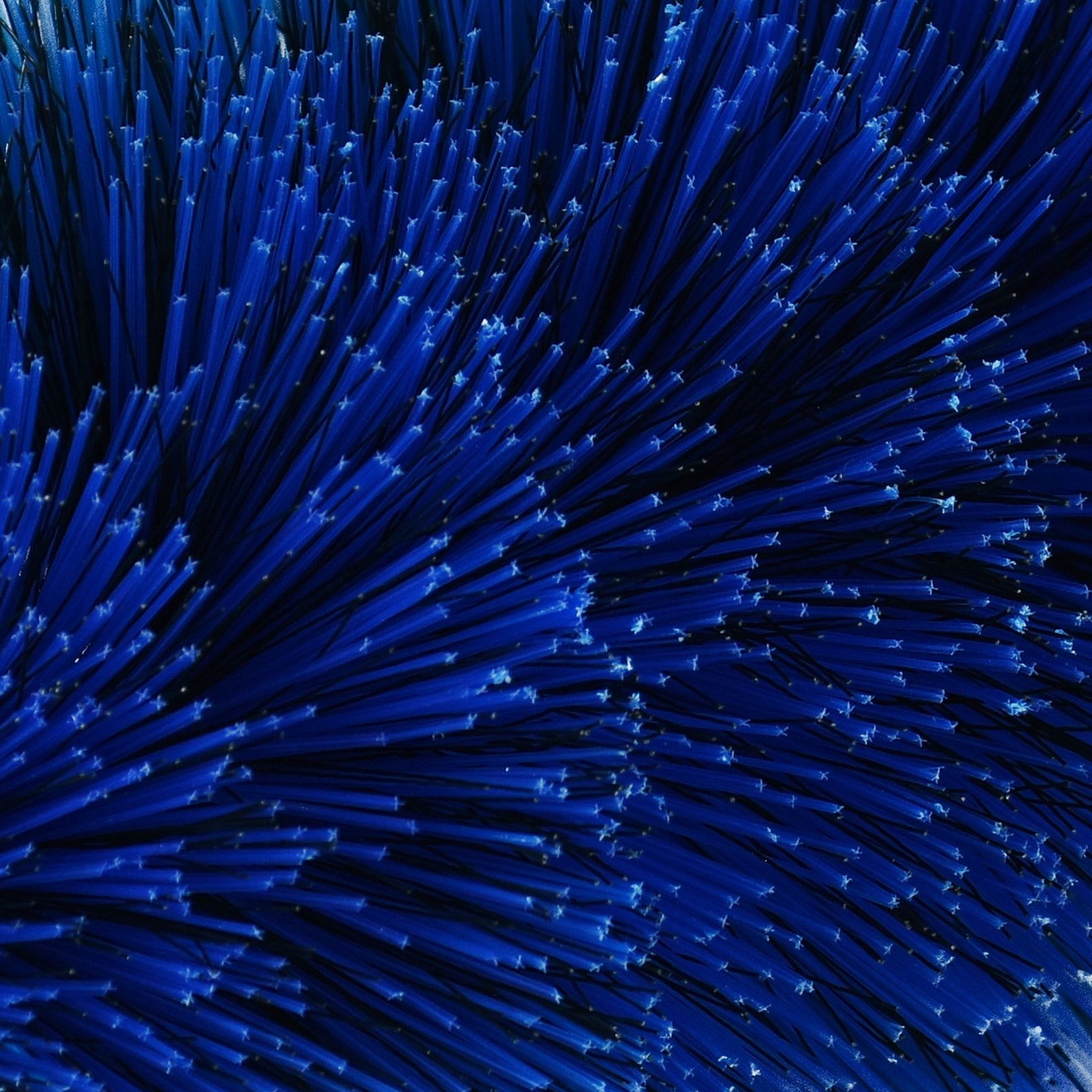 EZ Detail Wheel Brush Mini Felgenreinigungsbürste blau 33cm