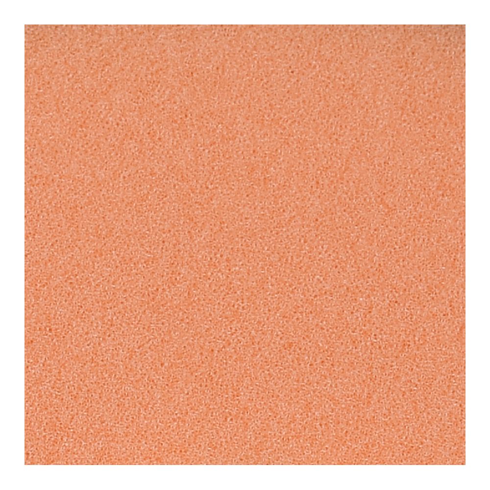Detail Passion Therminator Polirondelle Medium Cut orange Ø 75/85mm