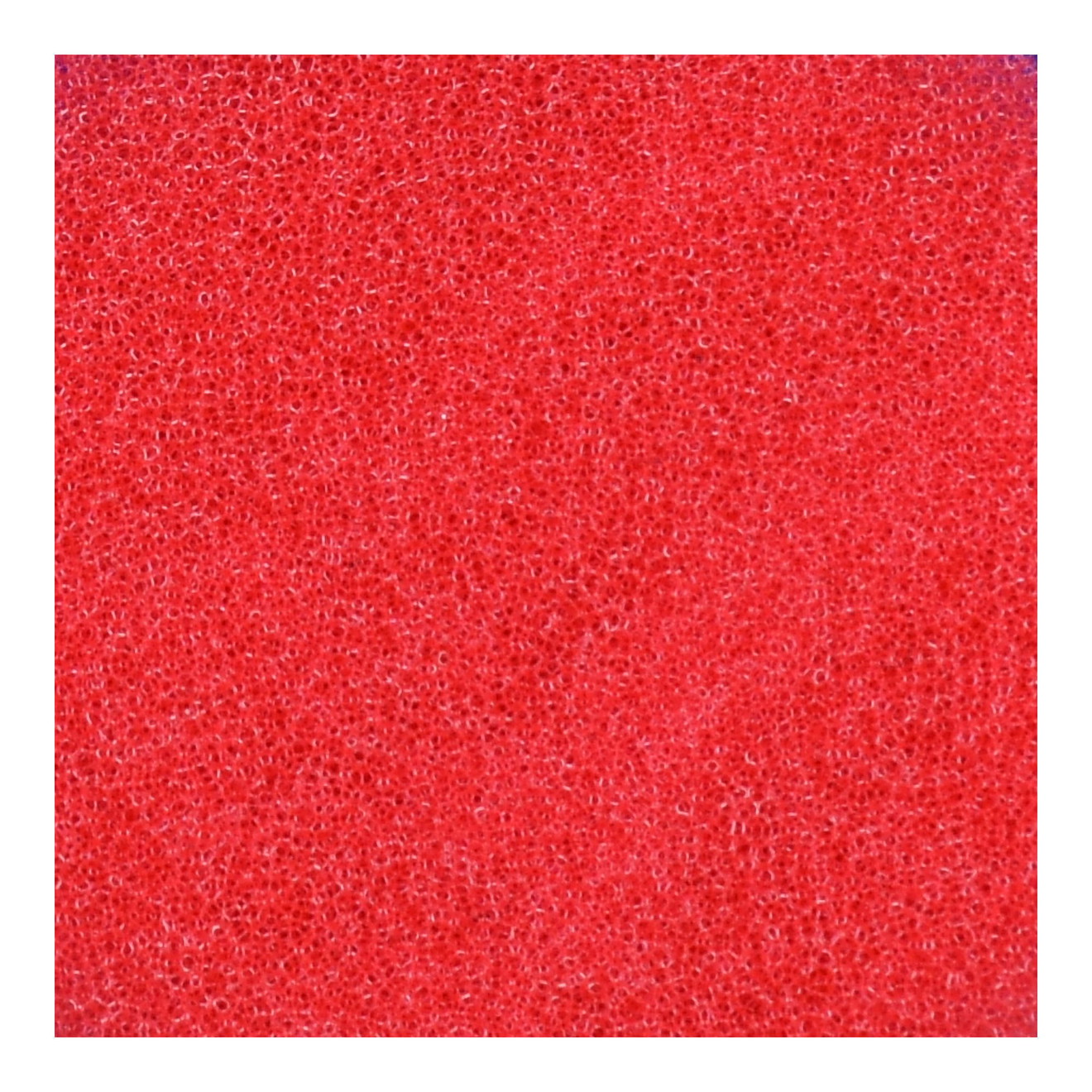 Tampons de polissage Flex 75mm PP-C Cutting Hard lot de 2